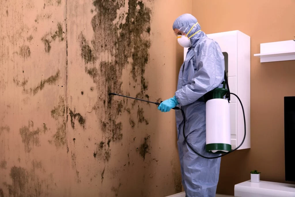 Mold Remediation & Removal Services in TX