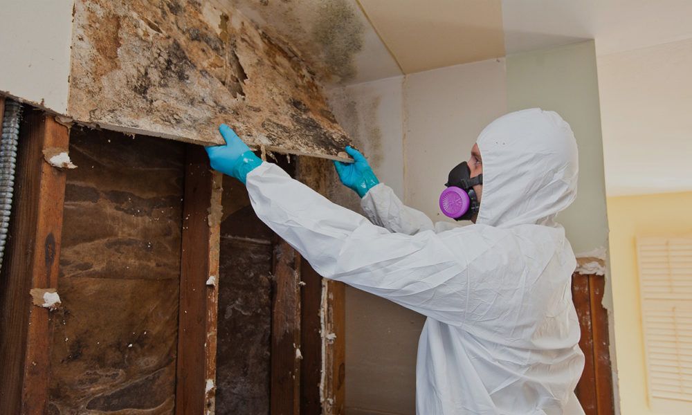 Mold Removal, Fire, and Water Damage Restoration: Common Questions and Answers